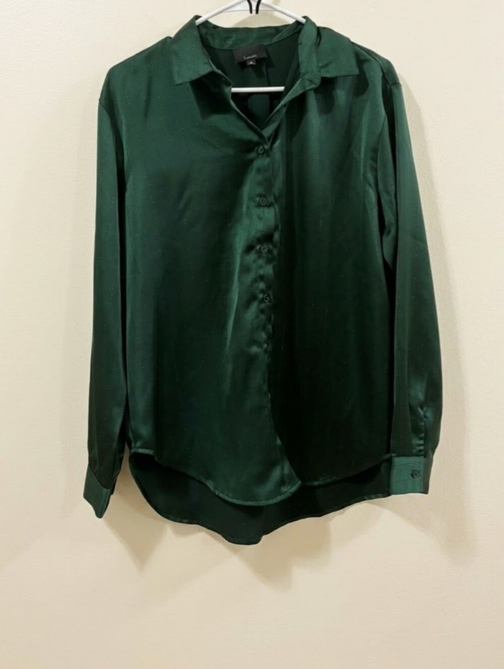 Lumiere Dark Green Metallic Striped Button Down Shirt Blouse Small Long Sleeve